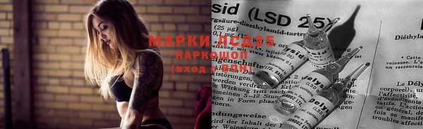 мяу мяу мука Алзамай
