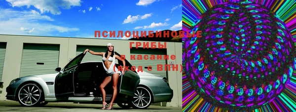 apvp Алексин