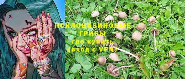 винт Алексеевка