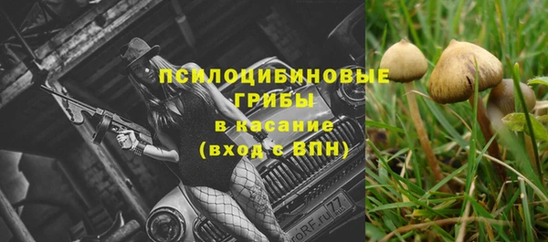 винт Алексеевка