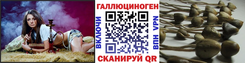 что такое наркотик  Похвистнево  Галлюциногенные грибы прущие грибы 