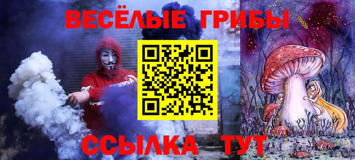 Галлюциногенные грибы Cubensis  Вход с VPN  Похвистнево 